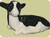 MVA 102-laying Holstein