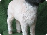MVA 1330-Standing Sheep