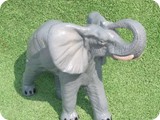 MVA 1426- Small Elephant
