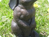 MVA 590-peter rabbit