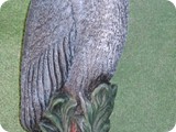 B 1376. Medium Blue Heron