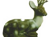 D 279B-Medium laying Fawn with Horns
