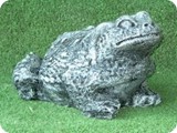 FR 1005-- Large Wart Toad