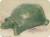 FR 244-Small turtle