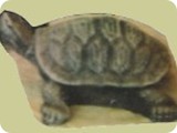 FR 373-Medium Turtle