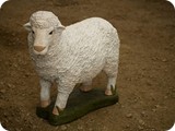 ED04576 Standing Sheep