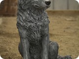 ED04579 Large Sitting Wolf