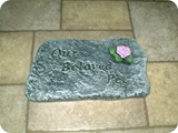 MVSI 1208-Our Beloved Pet stone